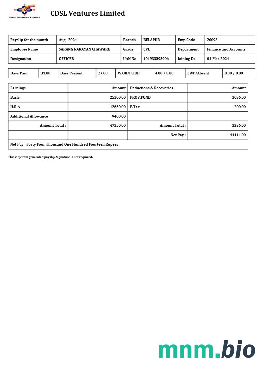 Szablon odcinka wypłaty CDSL Ventures Limited w formatach Word i PDF